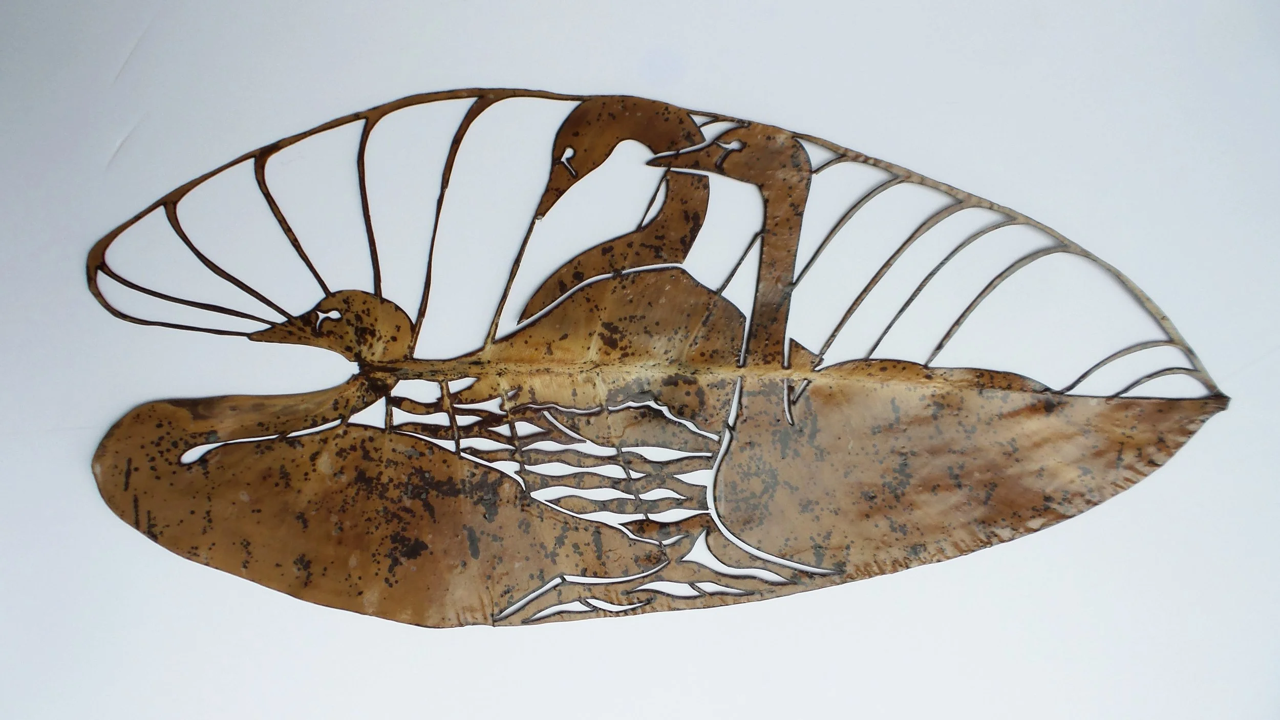 Trumpeter SwansSP.jpg