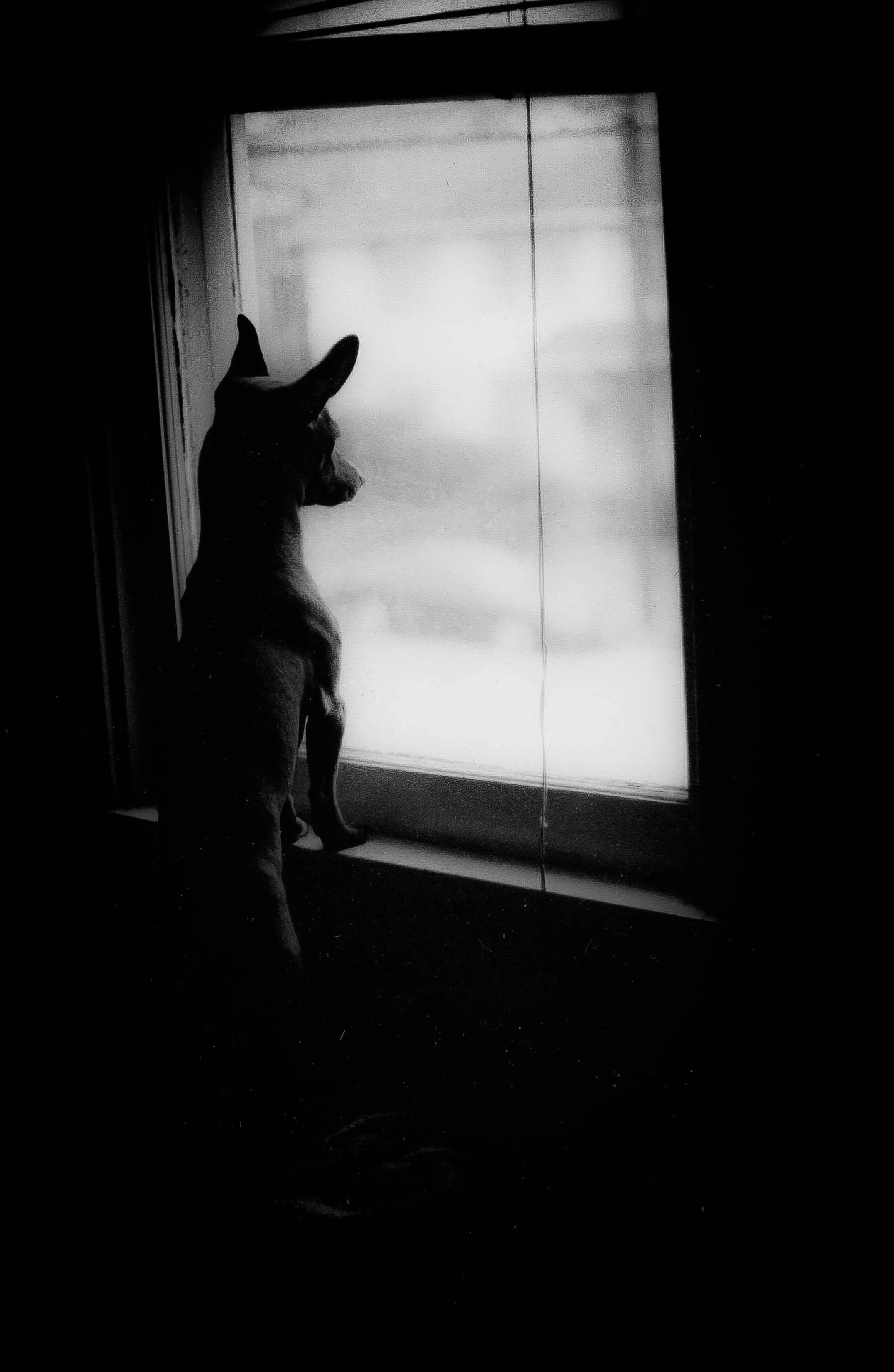 A51 (1 of 1).jpg