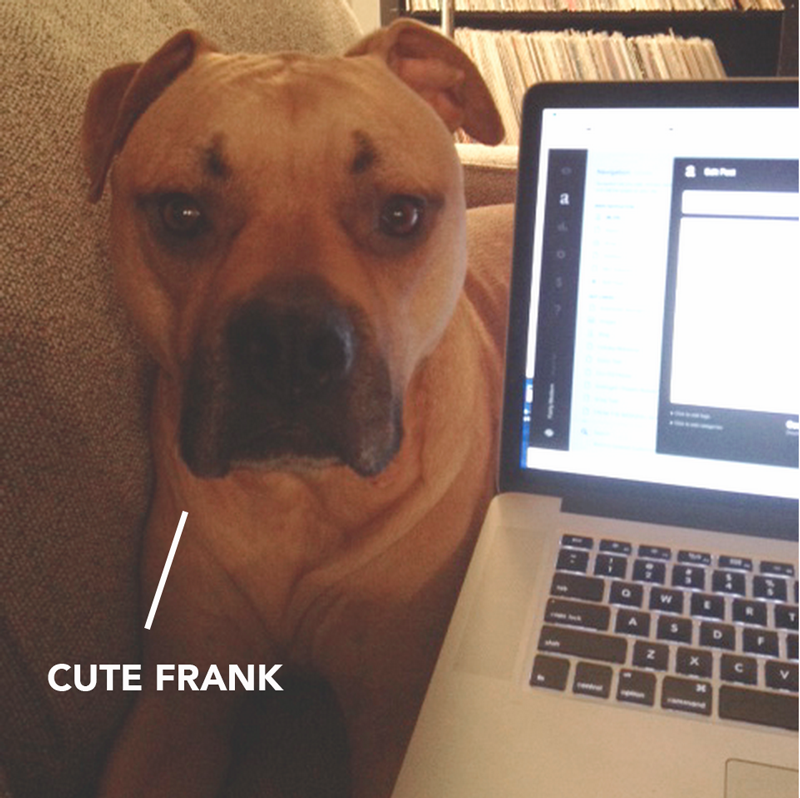 meetfrank.png