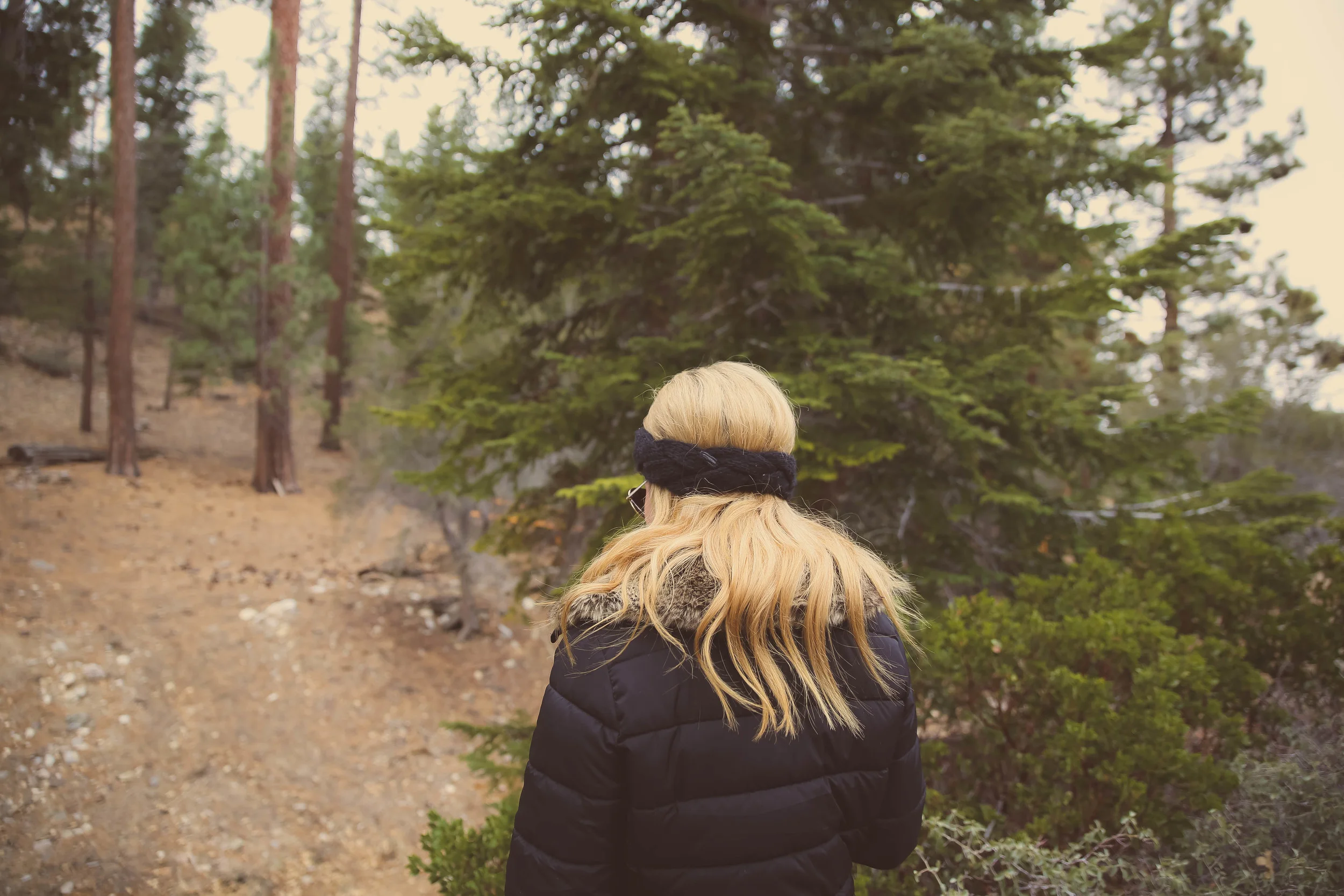 bigbear-5.jpg