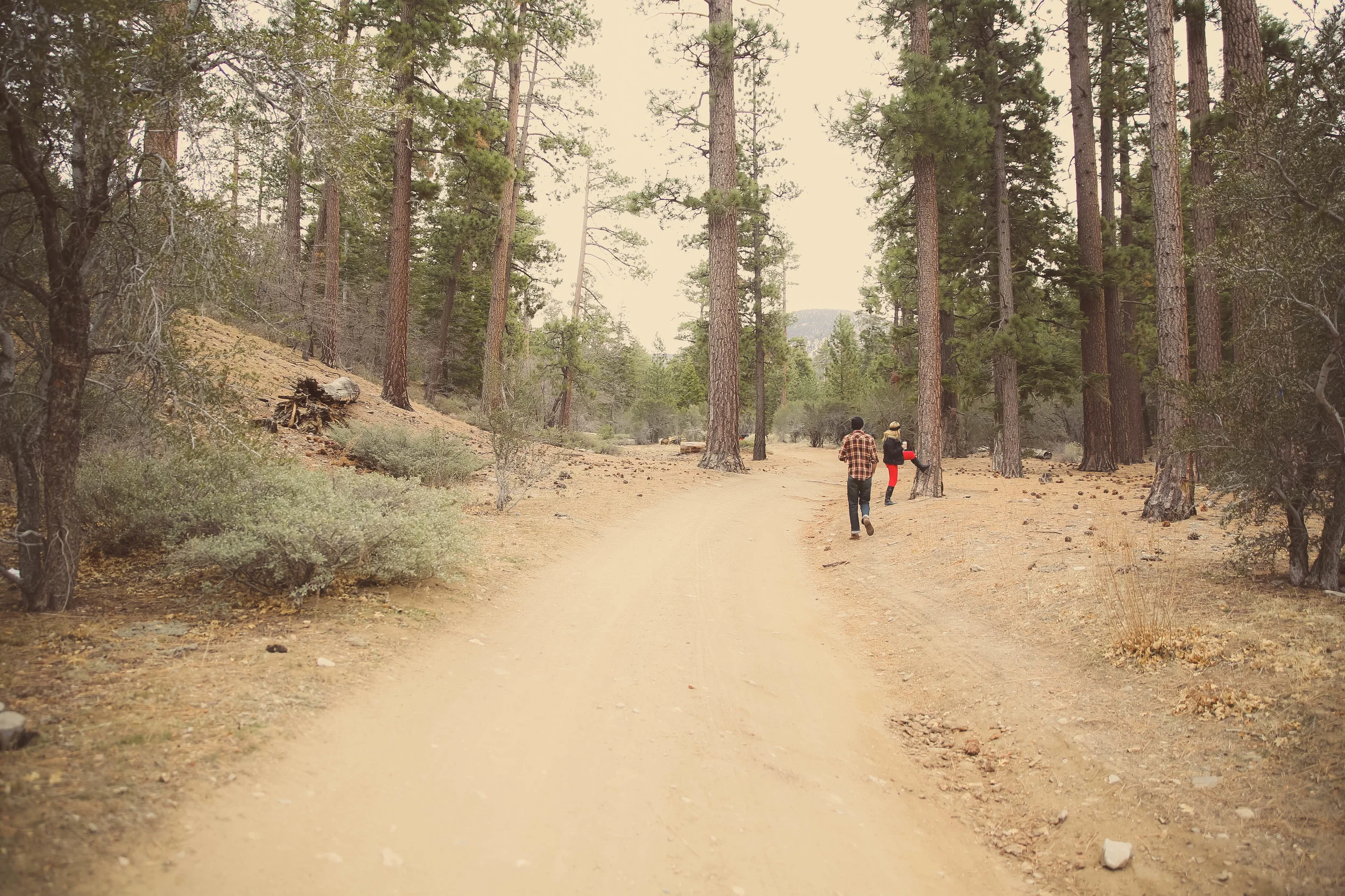 bigbear-14.jpg