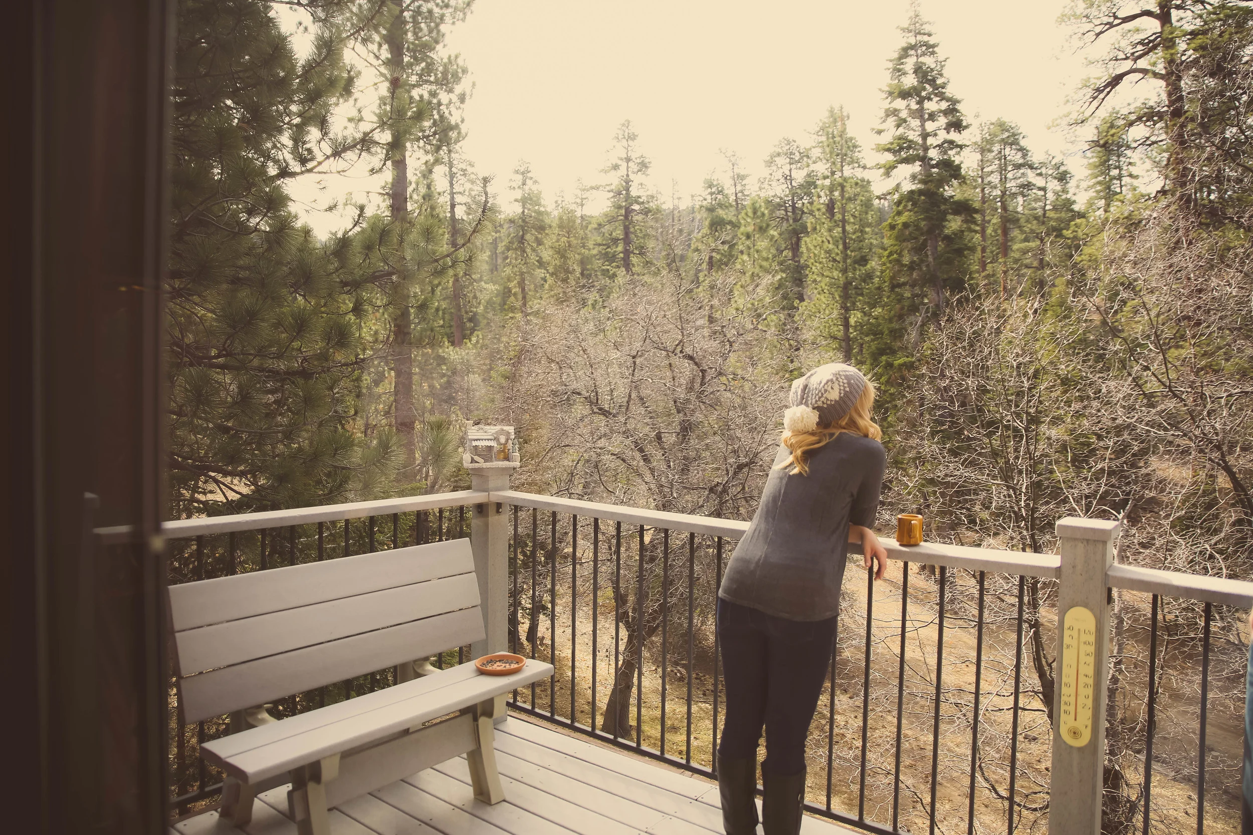 bigbear-28.jpg