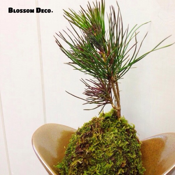 iphone-20131212163526-1.jpg
