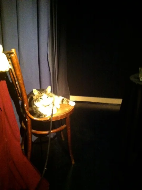 avond-van-de-poes.jpg