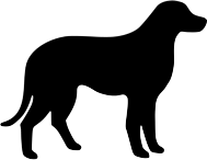 Grote_honden_Casting.png