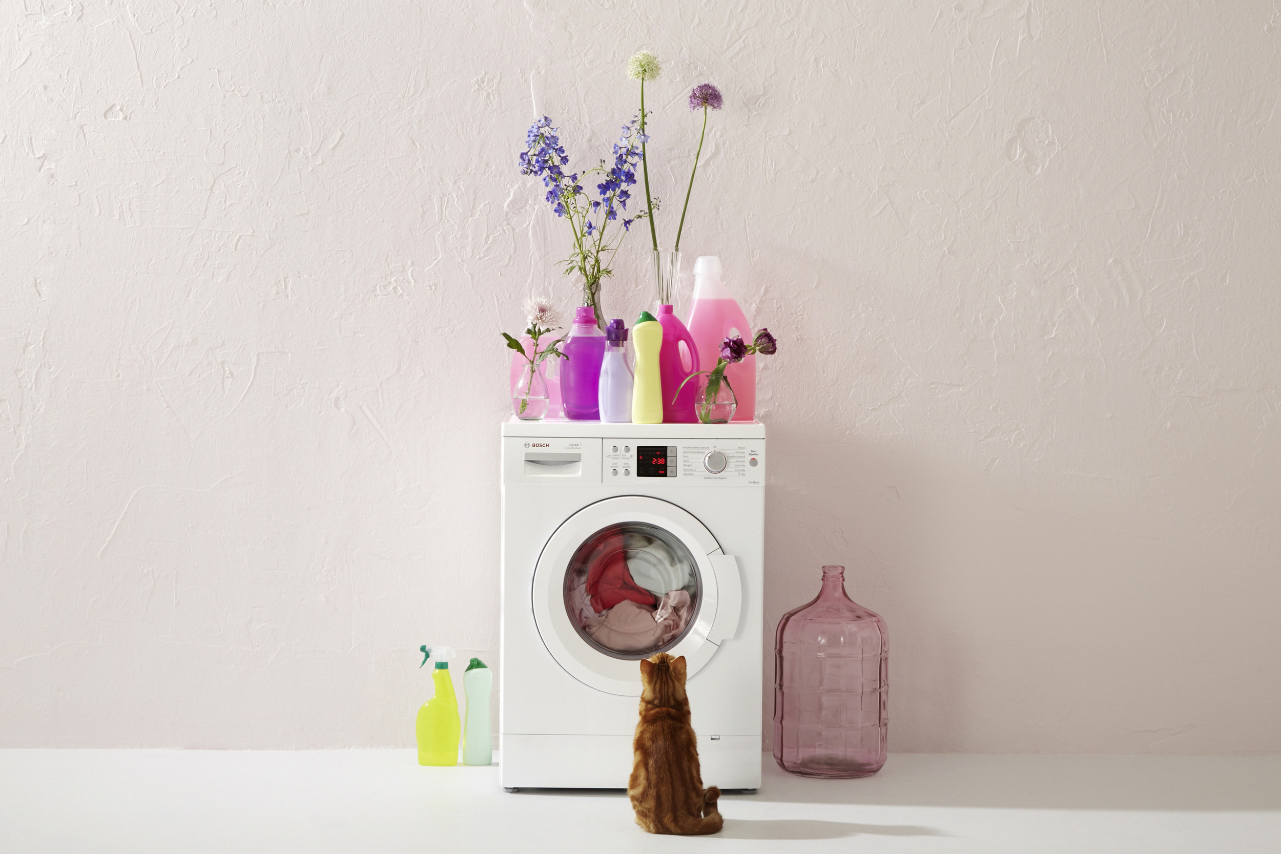 Zwetsniet bij wasmachines van 'Wehkamp' — Catvertise