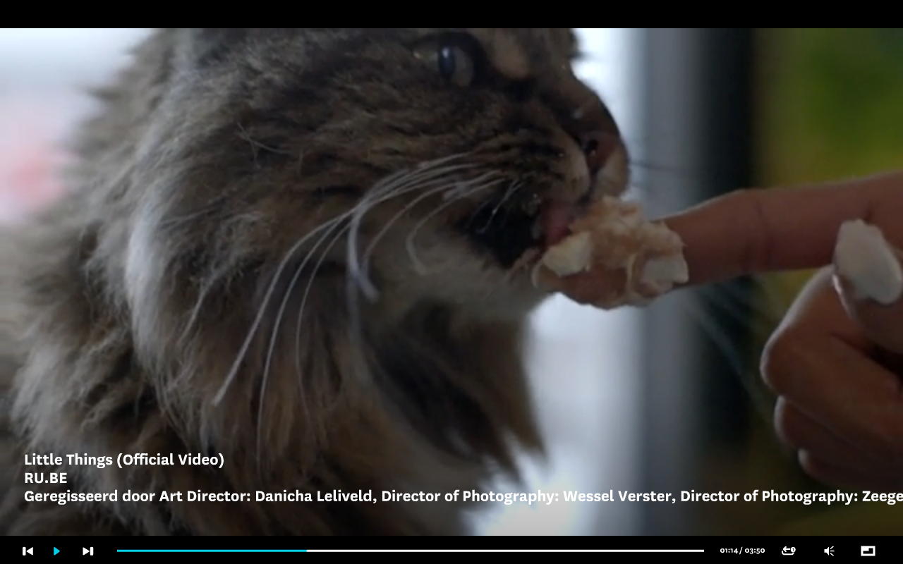 Schermafbeelding 2015-05-02 om 21.02.07.png