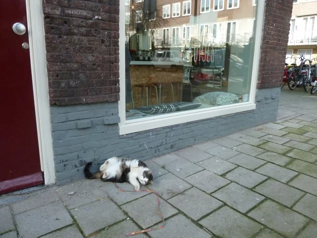 P1180169.jpg