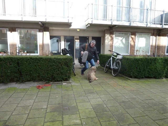 P1180170.jpg