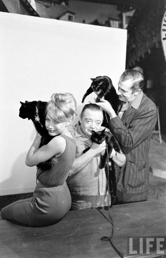 black-cat-auditions-hollywood-1961-14-560x869.jpg