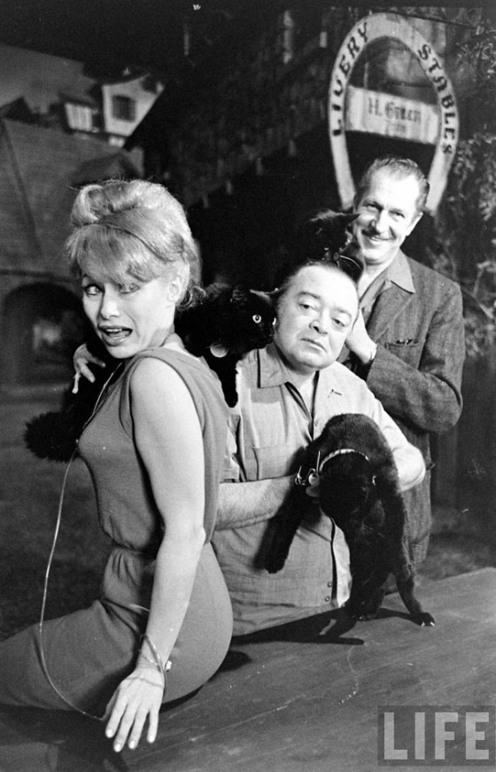 black-cat-auditions-hollywood-1961-15-560x871.jpg