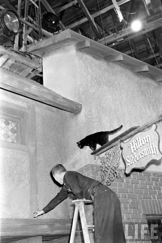 black-cat-auditions-hollywood-1961-19-560x842.jpg
