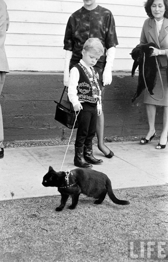 black-cat-auditions-hollywood-1961-7-560x871.jpg