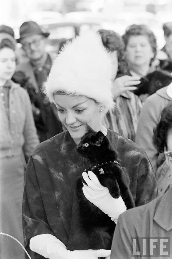 black-cat-auditions-hollywood-1961-9-560x842.jpg