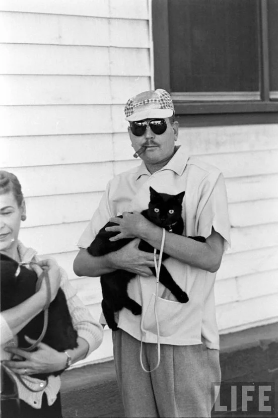 black-cat-auditions-hollywood-1961-10-560x842.jpg