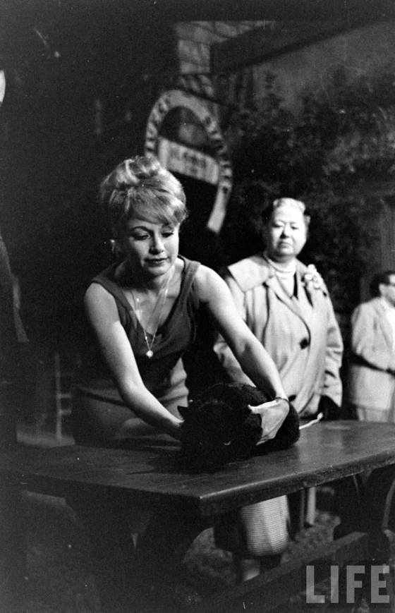 black-cat-auditions-hollywood-1961-13-560x869.jpg