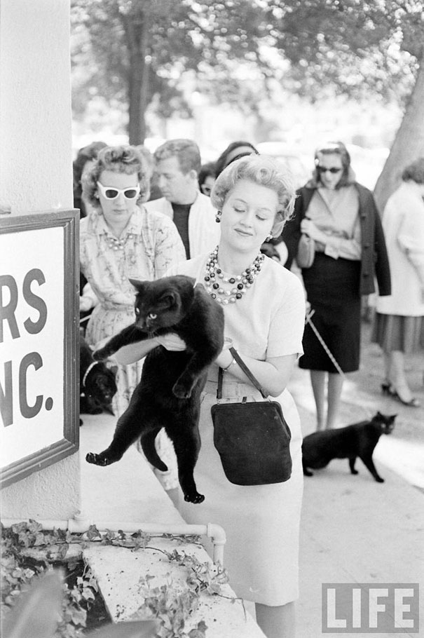 black-cat-auditions-hollywood-1961-12.jpg