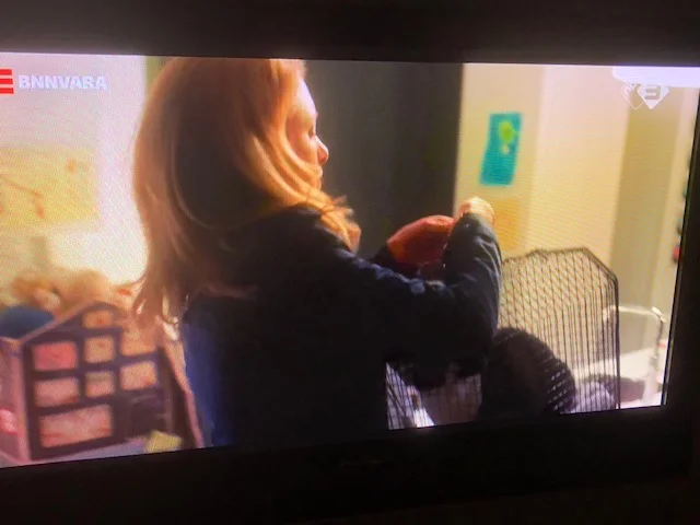 image1.jpeg