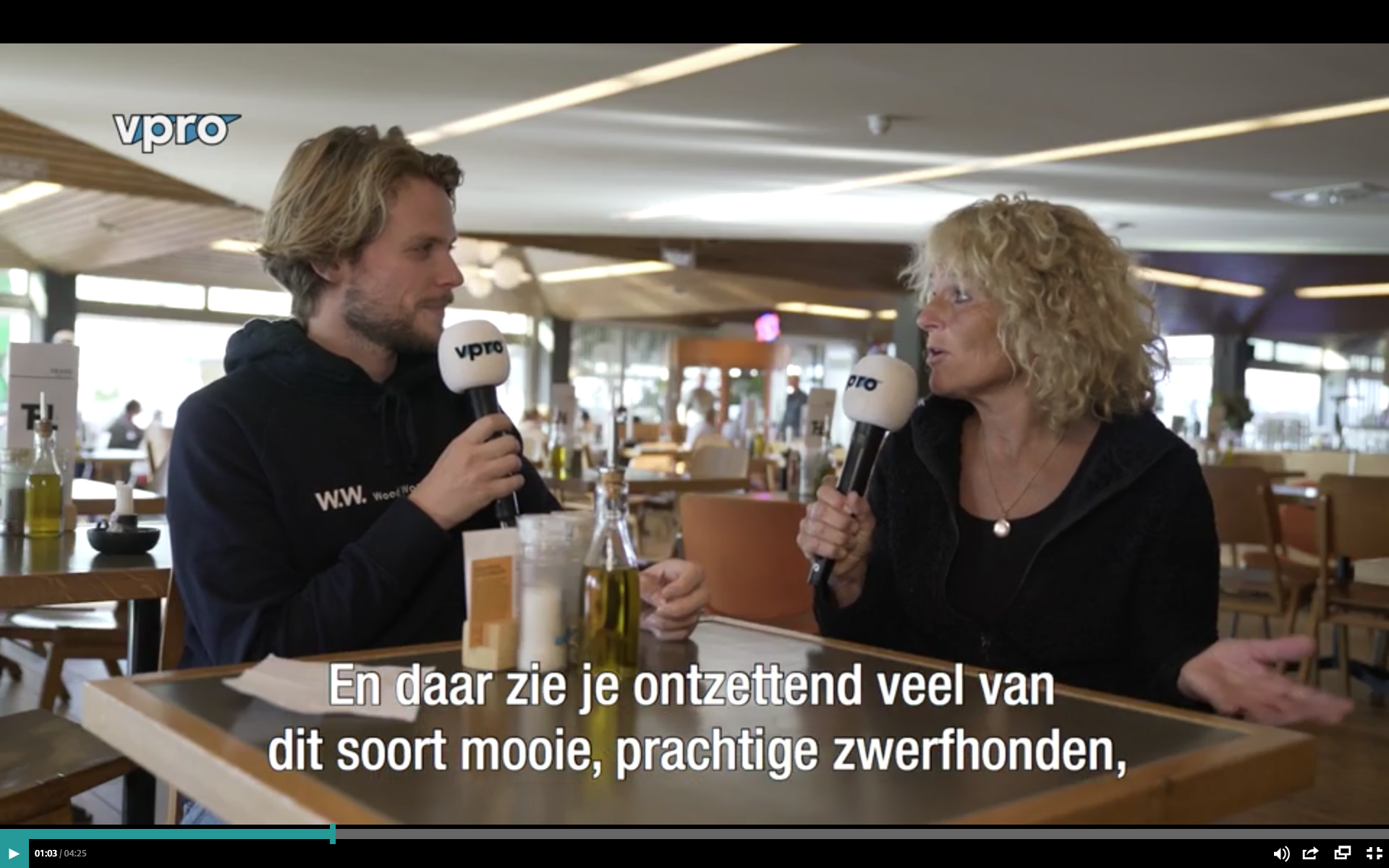 Schermafbeelding 2018-11-21 om 13.42.18.png