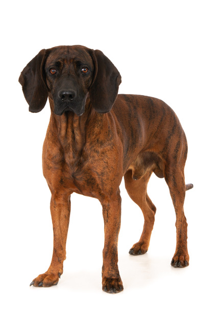 gh-30117-Willem