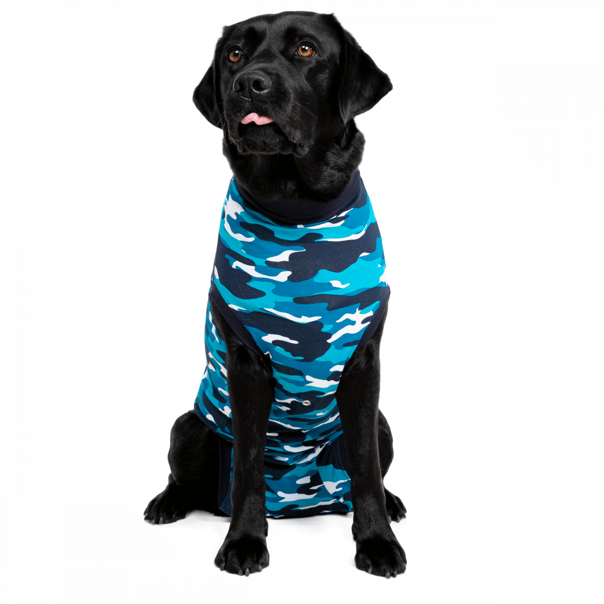 ©-SUITICAL-RECOVERY-SUIT-DOG.CIRCLE-05-V01.2019-0x1200-c-default.png