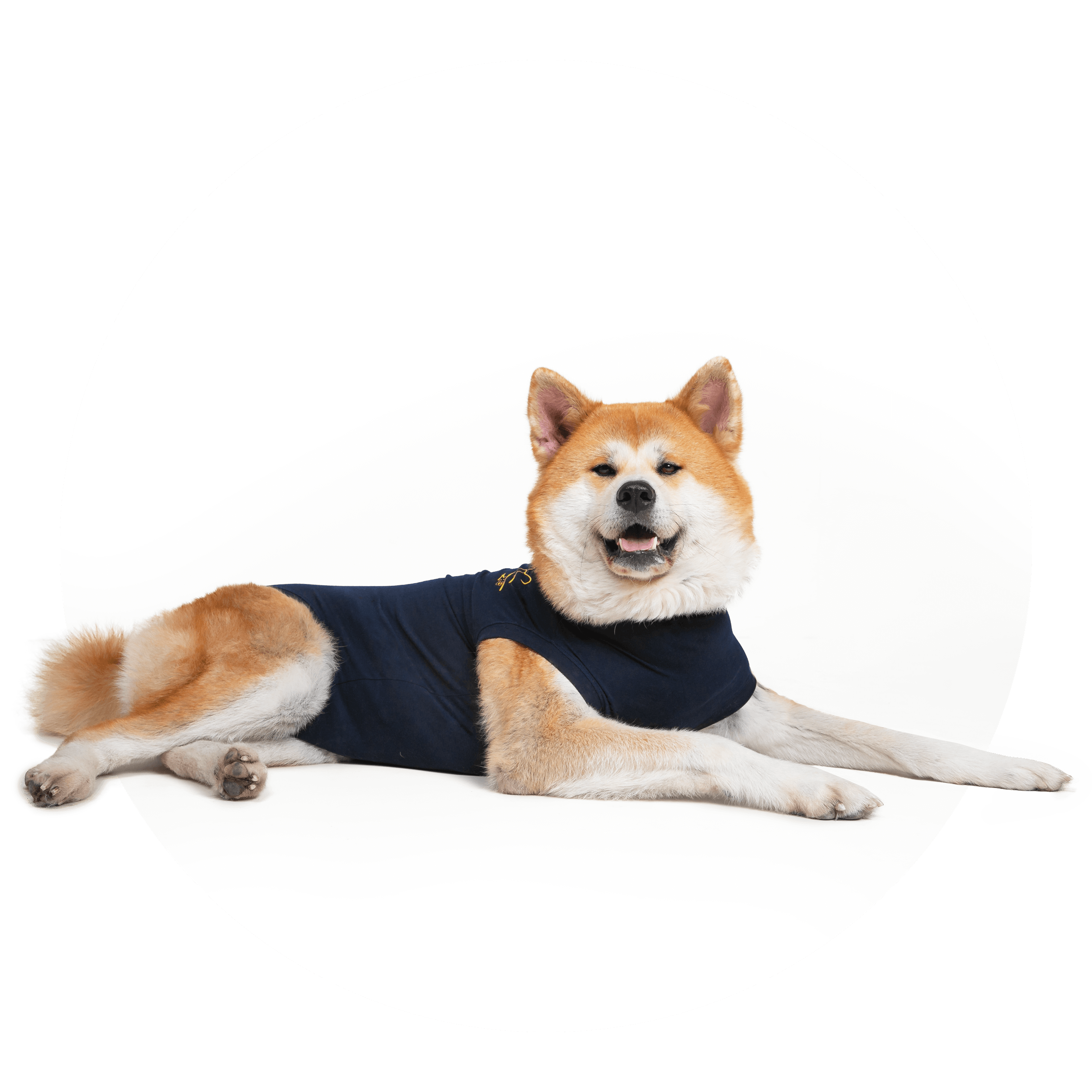 ©-MPS-CIRCLE-OVERVIEW-PROTECTIVE-BODY-SHIRT.DOG-05-V01.2019-1.png