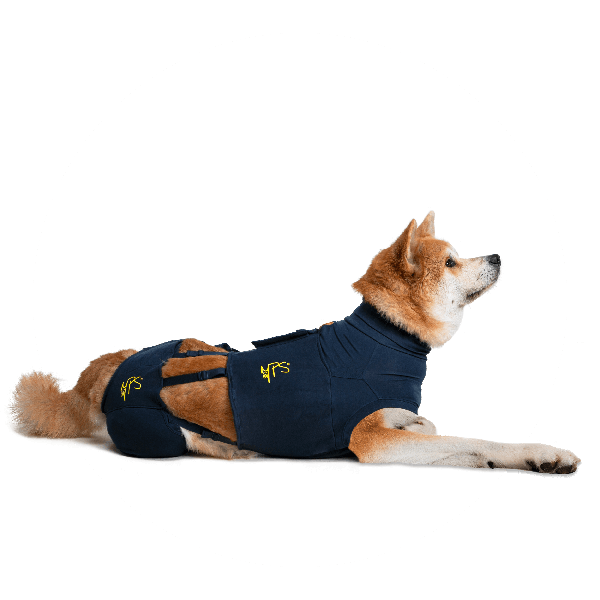 ©-MPS-CIRCLE-OVERVIEW-HIND-LEG-SLEEVES.DOG-02-V01.2019-1.png