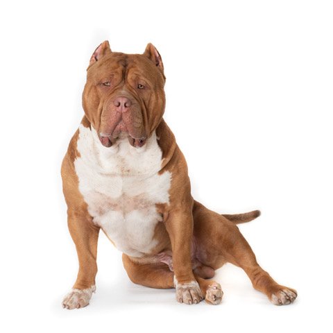 gh-30353-Taz