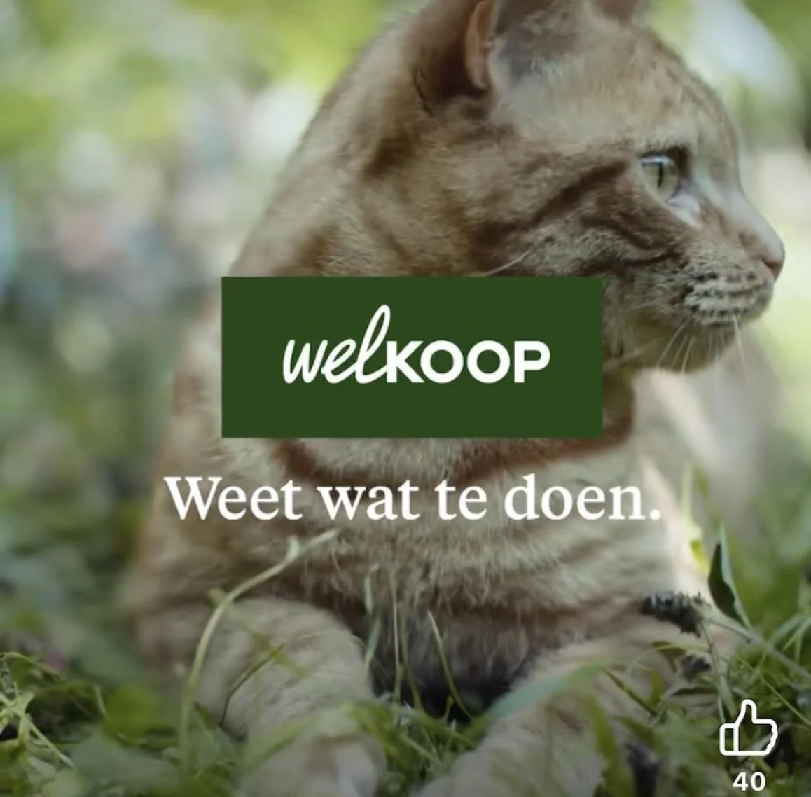 Chanjo en Maziwa in spotje voor 'Welkoop'