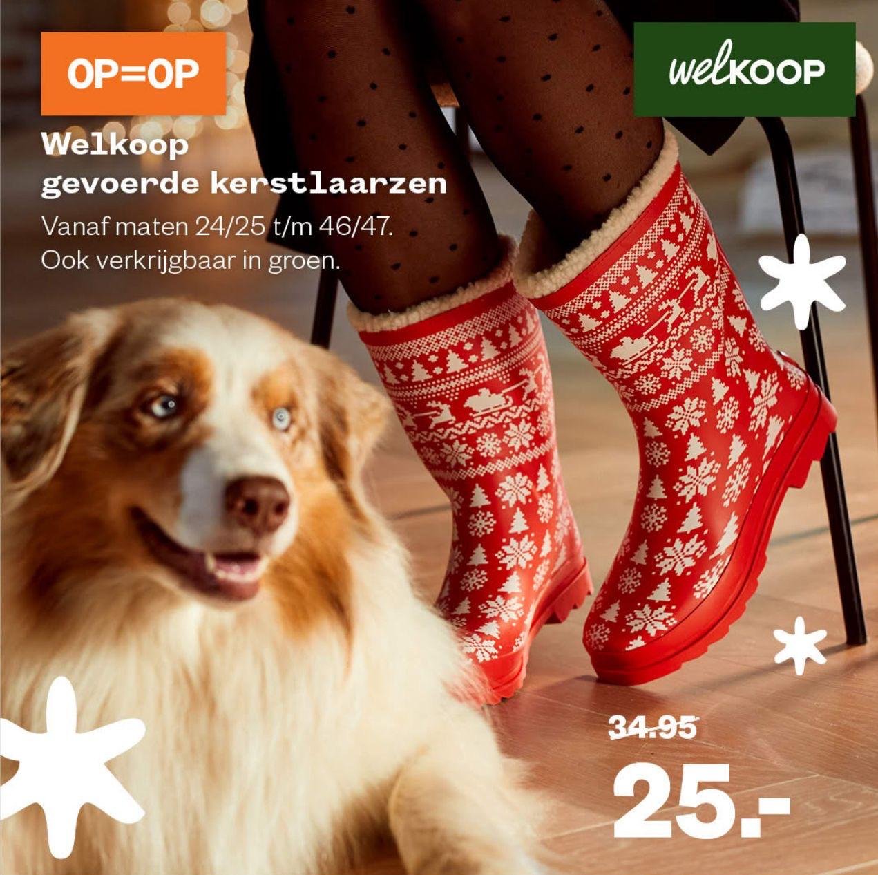 Beer in kerstsfeer voor 'Welkoop'