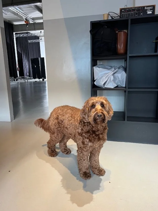 Cody voor de camera