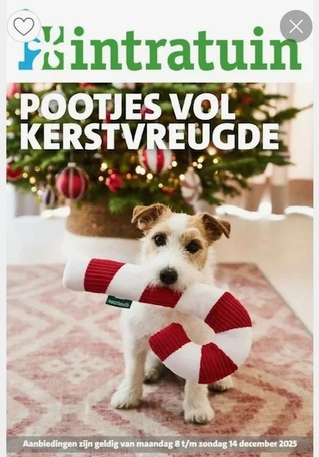 Jop op website en op de folder-cover van 'Intratuin'