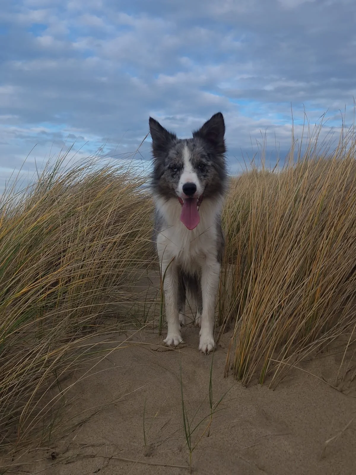 Fuse 2 dagen op de filmset