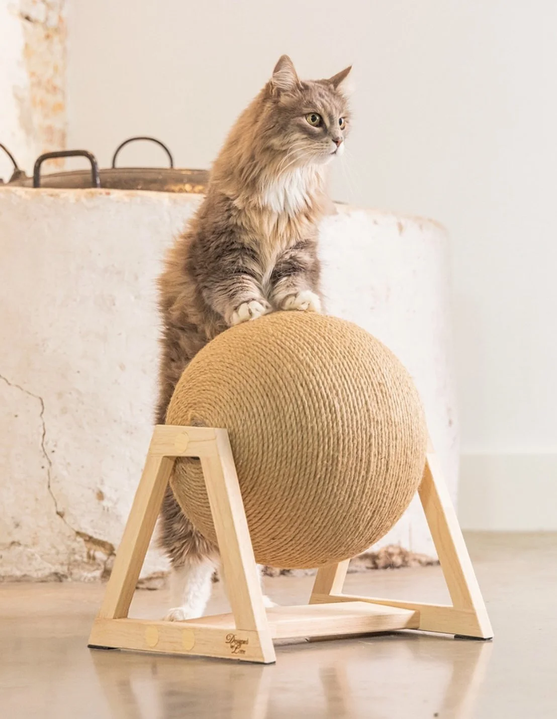 Truitje model voor 'Designed by Lotte'