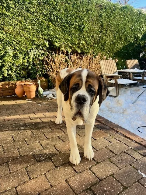 Bob op locatie in de sneeuw......