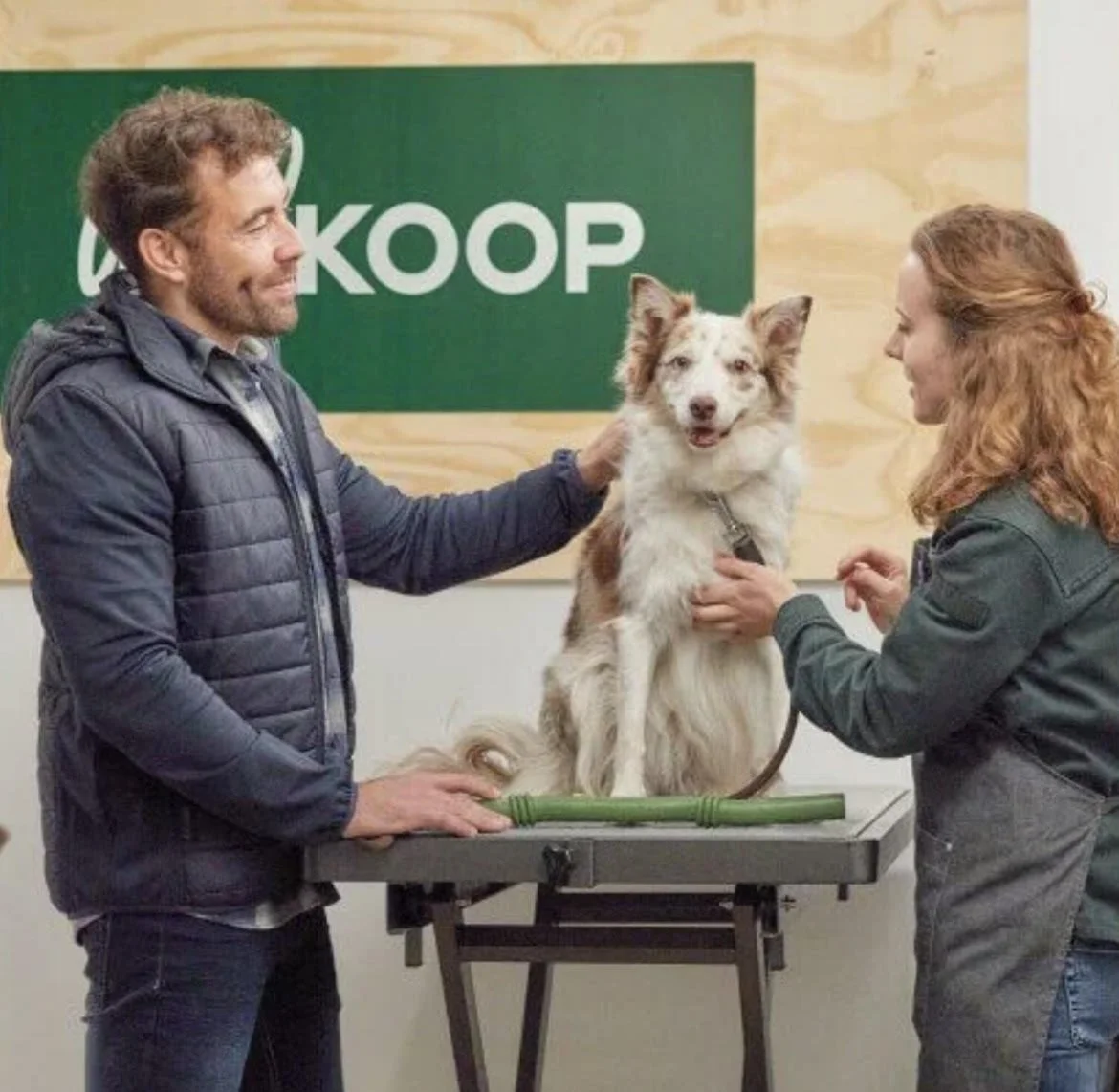 Blaze en Maziwa op website van 'Welkoop'