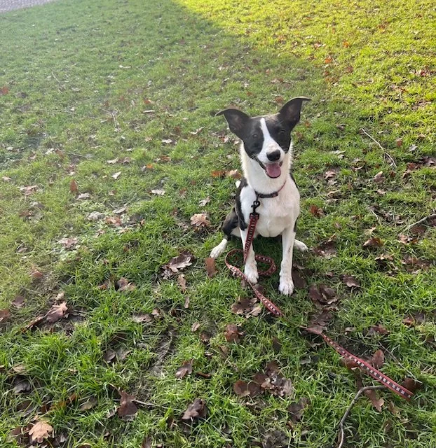 Benthe voor de camera