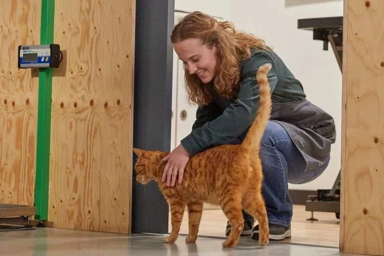 Maziwa model voor 'Welkoop'