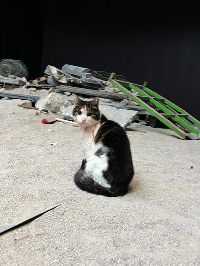 'Close your eyes Hind', van Amir Zaza, Gouden Kalf voor beste korte film.