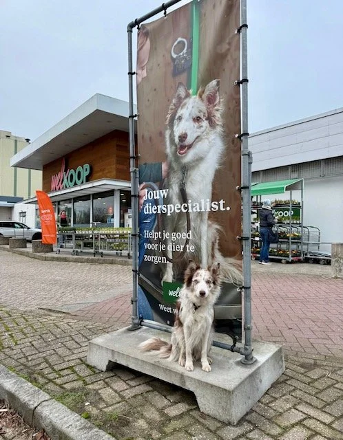 Blaze is overal te zien als model voor 'Welkoop'