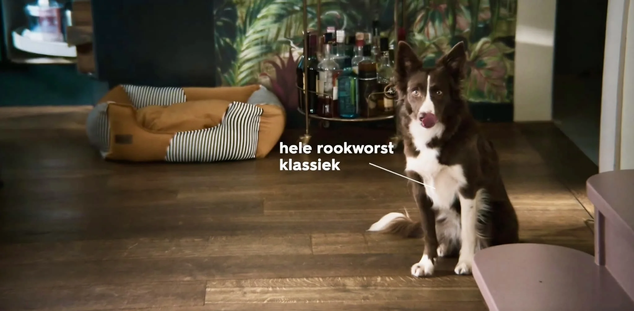 Maeve in spotje: 'HEMA, 100 jaar!'