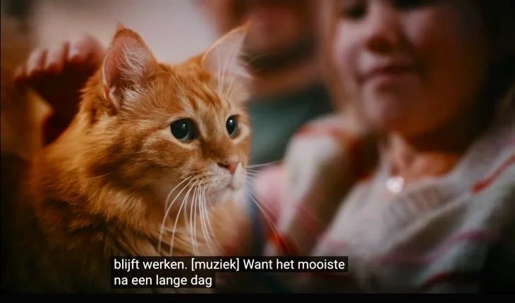 Chanjo in commercial voor 'Feenstra'