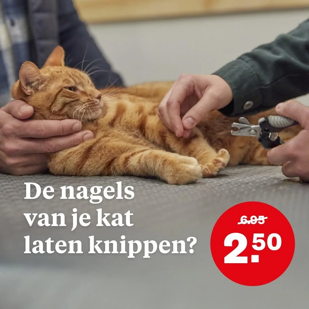 Maziwa laat zijn nagels knippen als model voor 'Welkoop'