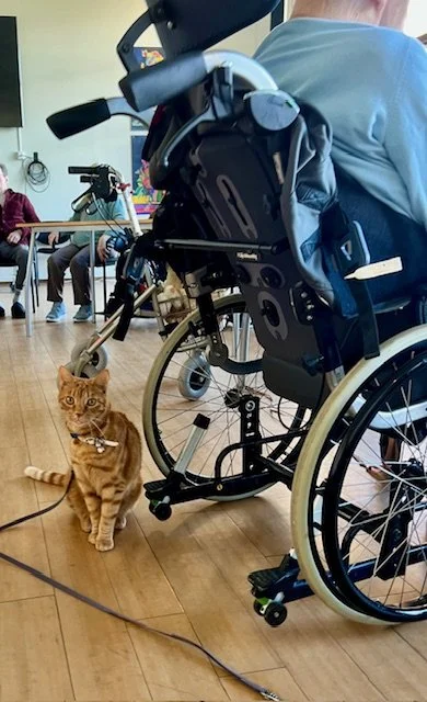 Knuffelconcert in zorgcentrum 'Rosendael'