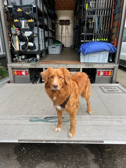 Kalle in de filmstudio