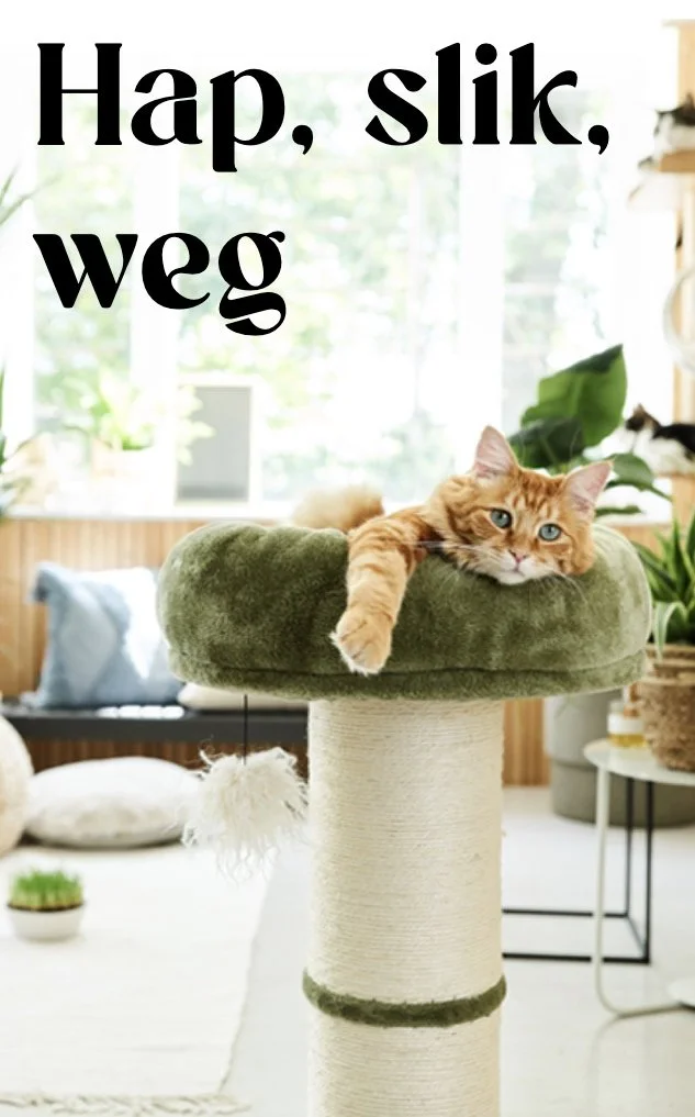 Chanjo model voor 'Intratuin'