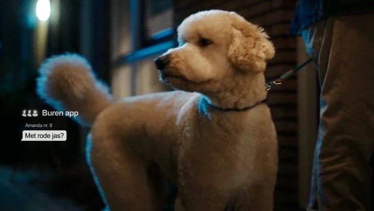 Molly in spotje voor 'Postcodeloterij'