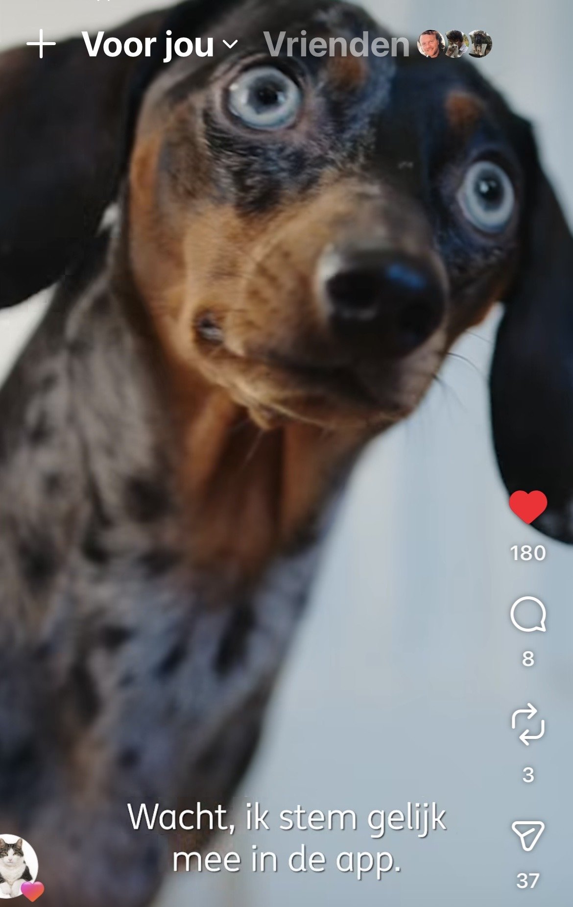 Nominatie Gouden Loeki voor spotje 'ING' met Blue