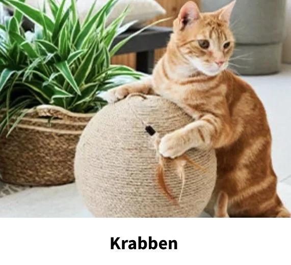 Jibini op de website van 'Intratuin'