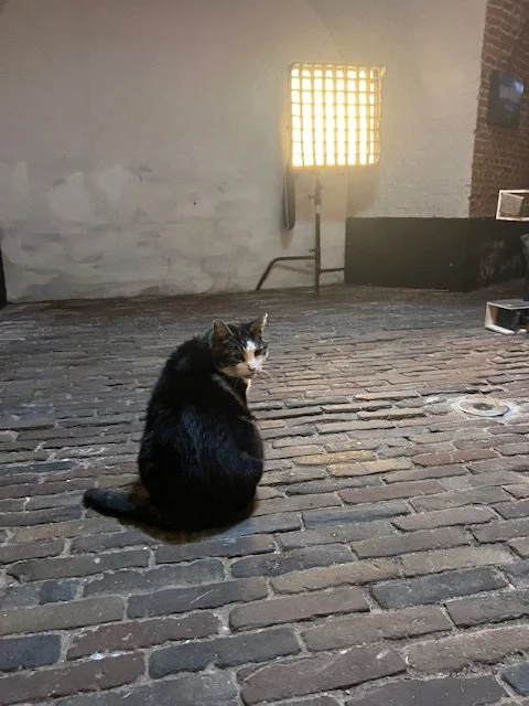 Abatutu op de filmset "HalloWiebe 2"